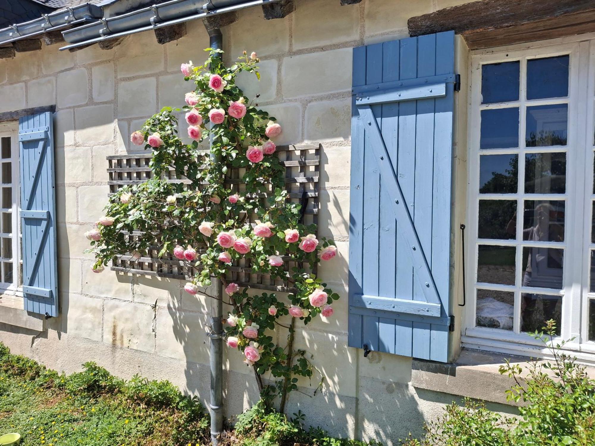 Le Mouton Bed & Breakfast Blaison Екстериор снимка