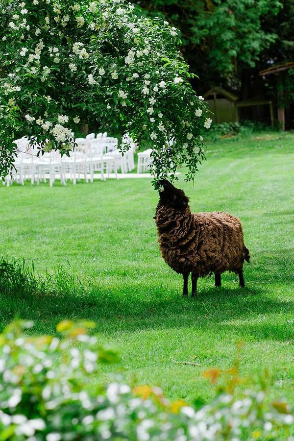 Le Mouton Bed & Breakfast Blaison Екстериор снимка